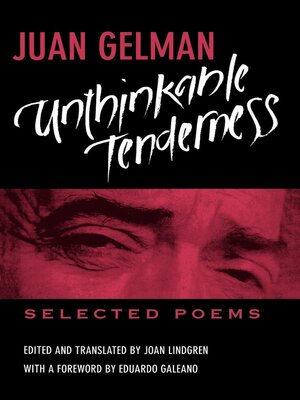 cover image of Unthinkable Tenderness